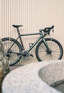 Partington 1160g 超輕碳纖碟煞輪組 39/44 金標