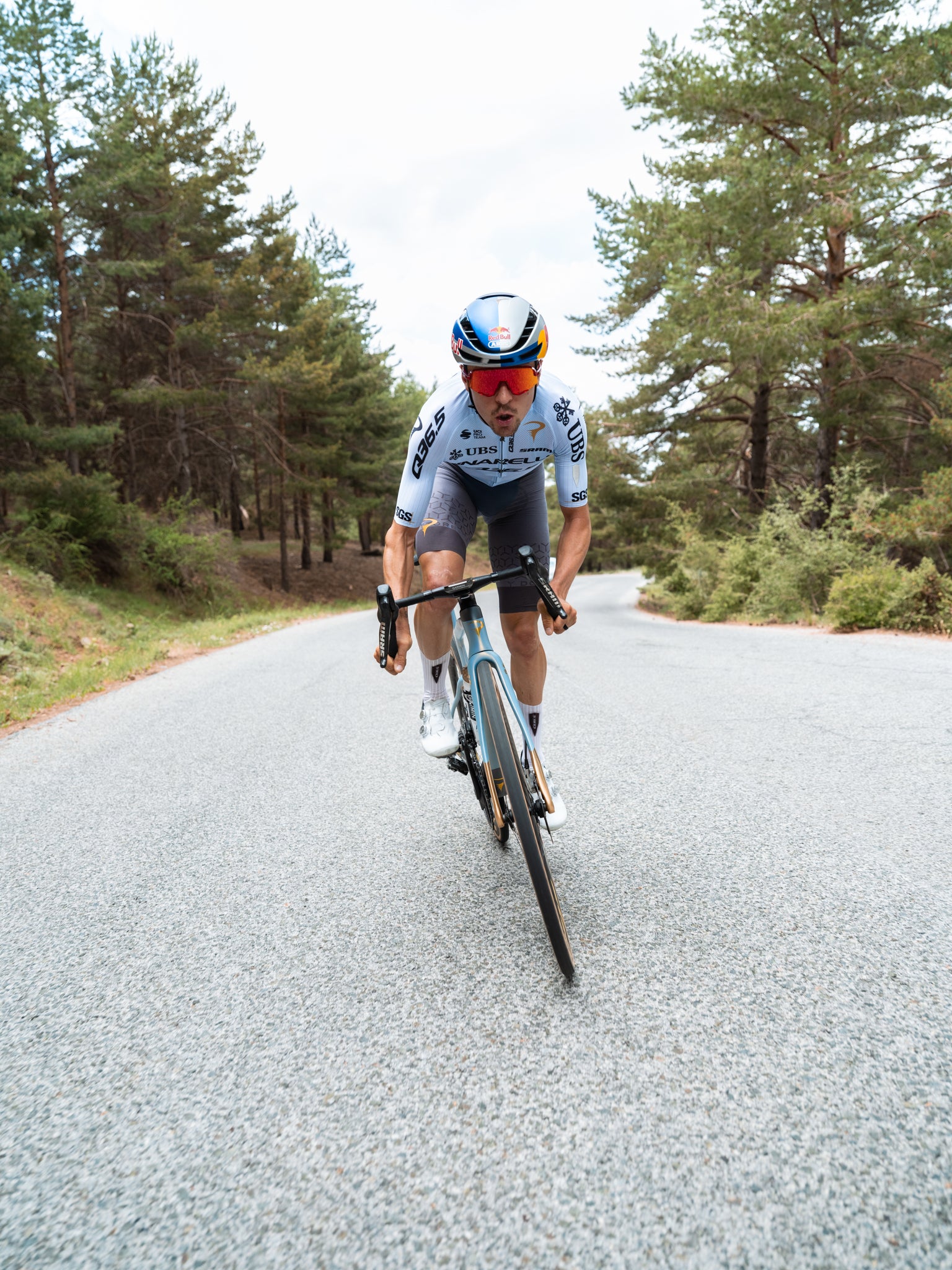 Q36.5 車衣Gregarius Clima Pro Cycling Team Jersey 2026TDF Limited Light Blue 男款 冰藍