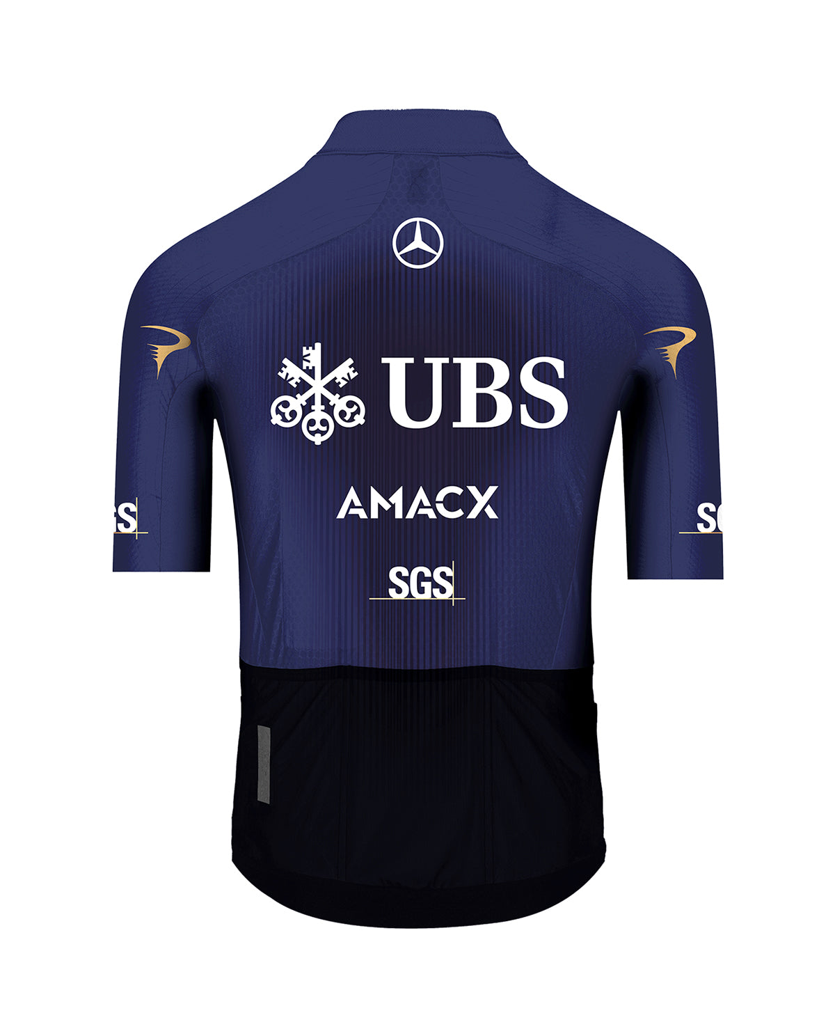 Q36.5 車衣Gregarius Q36.5 Pro Cycling Team Jersey 2026 男款藍