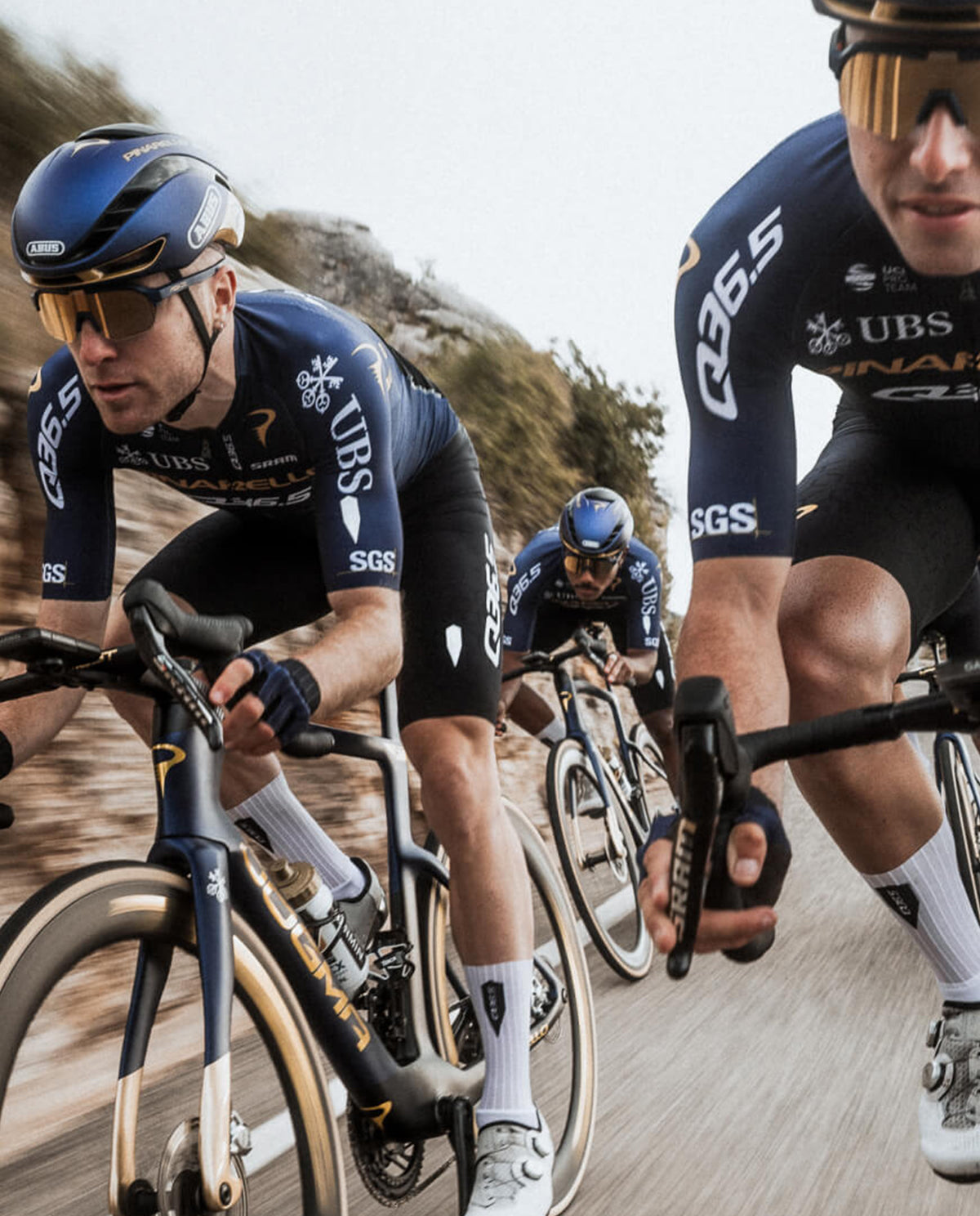 Q36.5 車衣Gregarius Q36.5 Pro Cycling Team Jersey 2026 男款藍