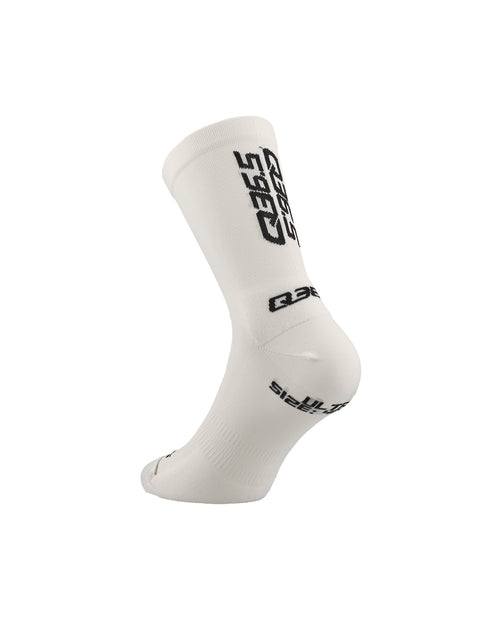 Q36.5 車襪Pro Cycling Team Ultra Socks 2026 白