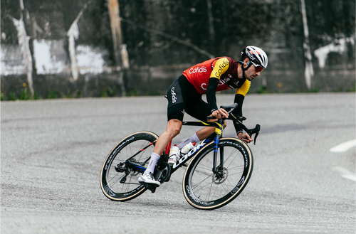 LOOK 成車 795 BLADE  RS ICONIC MY 26 CAMPAGNOLO SR 13 WRL BORA WTO 60