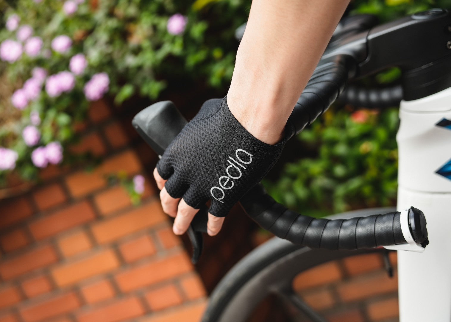 Pedla 手套UltraPRO Glove Black(T500-Black)短指-黑